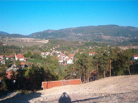 Breza06