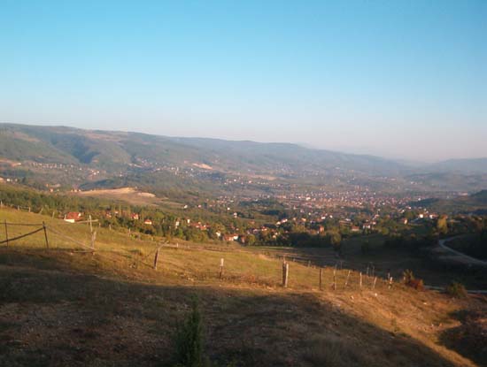 Breza13